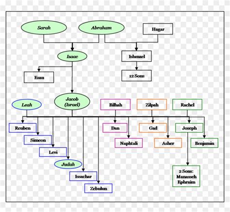 ibarra family tree.